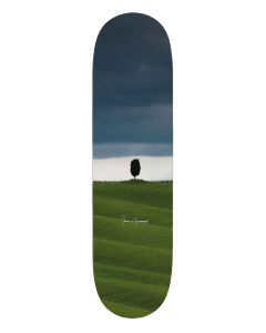 TAVOLA SKATE PLAZA BOARDS PENNI X PLAZA 8.25" U