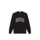 FELPA GIROCOLLO DICKIES AITKIN SWEATSHIRT BLK PLUM PERFCT