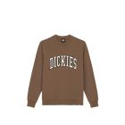 FELPA GIROCOLLO DICKIES AITKIN SWEATSHIRT MUSHROOM CLOUD