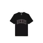 T-SHIRT MANICHE CORTE DICKIES AITKIN TEE BLK PLUM PERFCT